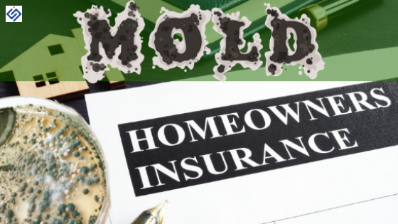 Does Homeowners Insurance Cover Mold SI Restoration does-homeowners-insurance-cover-mold-si-restoration